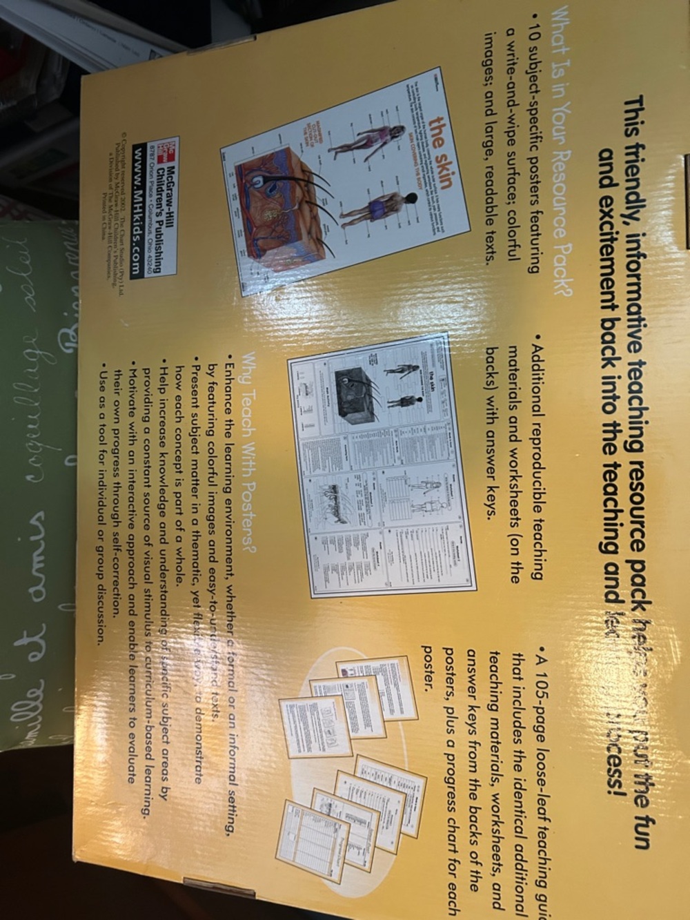 Human Anatomy Posters Set - Yellow - - Picture 6 of 13
